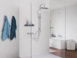 SCHÜTTE Mallorca Douchesysteem - Regendouche - 95 Cm Stang - Wandhouder In Hoogte Verstelbaar - Chroom -Badkamerartikelen Winkel 1200x914 2