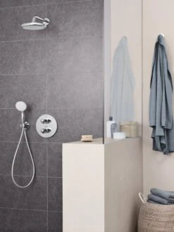 GROHE New Tempesta 100 Douchekop - Ø 10 Cm - 2 Straalstanden - Chroom - 2759710E -Badkamerartikelen Winkel 899x1200 26