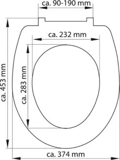 SCHÜTTE WC-Bril 82304 ANTHRAZIT - Duroplast - Soft Close - Afklikbaar - RVS-Scharnieren - Gelakt - Antraciet -Badkamerartikelen Winkel 900x1200 40